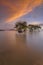 Mangrove trees and twilight