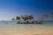 Mangroves at caribbean seashore, Cuba