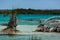 Mangroves in the crystal clear waters of the Bacalar Lagoon