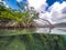 Mangroves Curacao views