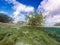 Mangroves Curacao views