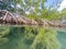 Mangroves Curacao views