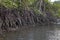 Mangroves ecosystems thailand