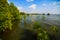 Mangroves forest and blue sky