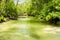 Mangroves forest on tropical island