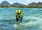 Mangroves growing in the Indian Ocean turquoise water of Ile aux Cerfs, Mauritius