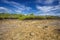 Mangroves at low tide, near Manado, Sulawesi,Indonesia