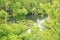 Mangroves in Mangrove Park