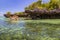 Mangroves in the ocean lagoon . Kwale island. Zanzibar