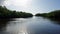 Mangroves at punta rusia