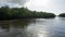 Mangroves at punta rusia