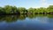 Mangroves at punta rusia