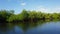 Mangroves at punta rusia