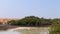 Mangroves in Ras Mohammed Nature Reserve in Egypt