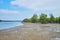 The mangroves on river bank, Ngwesaung, Myanmar