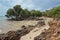 Mangroves on seashore sand and rocks New Caledonia
