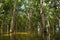 Mangroves, Tonle Sap water village