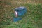 Manhole with a forbidding sign on the Bank in green grass and yellow leaves