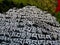 Mani colour Stones with Buddhist mantra Om mani padme hum in Himalaya Nepal