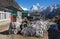 Mani stones in Khumjung village and Ama Dablam mount