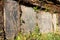 Mani wall and stones with buddhist symbols