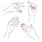 Manicure hands. Vector collection of hand drawn elegant woman hands in various gestures and frangipani, plumeria flower