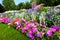 Manicured flower garden with colorful azaleas.