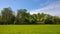 Manicured lawn in a neat Park with trees in the background