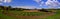 Manicured Mowed Grass on Baseball Field Diamond with Blue Sky and Clouds