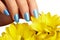 Manicured nails with natural nail polish. Manicure with blue nailpolish. Fashion manicure. Shiny gel lacquer. Spring