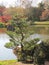 Manicured trees, shrubs and other plants with surrounding water creates great scenery.