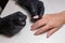 Manicurist black gloves doing a manicure at the beauty salon on a white background. Nail Polish colors Nude. Beautiful