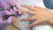 Manicurist master is painting client`s nails with top coat, hands closeup.