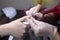 The manicurist processes the woman`s nails with an electric file. Professional care in a beauty salon. Manicure process. Close-up