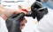 A manicurist removes cuticles during a nail extension procedure in a beauty salon. Professional hand care