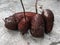 Manihot esculenta or ketela pohon, singkong or ubi kayu, staple foods contain carbohydrates