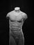 Manikin Body Over Dramatic Background. Anatomy, Muscle Concept.