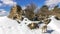 Manjarin, Spain - Dog Walking by the Ruins of Old Buildings in the Snowy Village of Manjarin, along the Way of St James