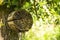 Manmade insect hotel in a green forest