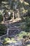 Manmade Stone Stairs in the Forest