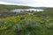 Mann Creek Reservoir, Idaho