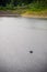 Mann cruising in a canoe on a natural lake between mountains on a summar day