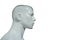 Mannequin bust profile. Isolated