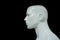 Mannequin bust profile. Isolated