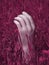 Mannequin hand in pink grass. Abstract creative photo