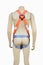 Mannequin wearing construction safety belt on isolated background.