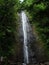 Manoa Falls hidden in jungle near Honolulu, Oahu, Hawaii