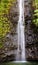 Manoa waterfalls