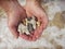 Mans hands holding broken coral in the sea