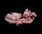 Mans hands holding tiny baby\'s feet isolated